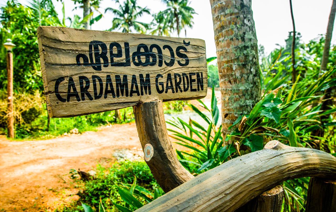 Mango Meadows Hotel Kottajam Kültér fotó