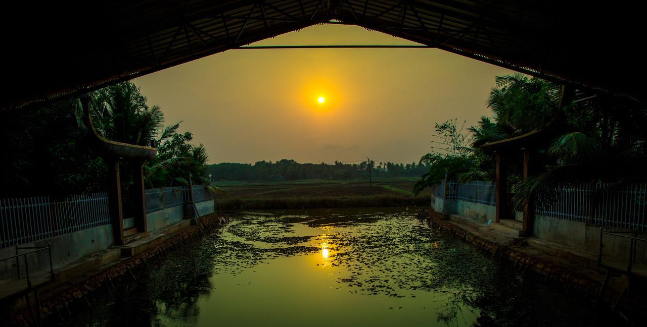 Mango Meadows Hotel Kottajam Kültér fotó